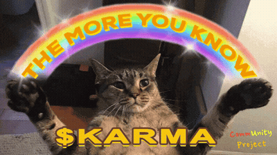 Cat Holding Rainbow The More You Know $Karma GIF