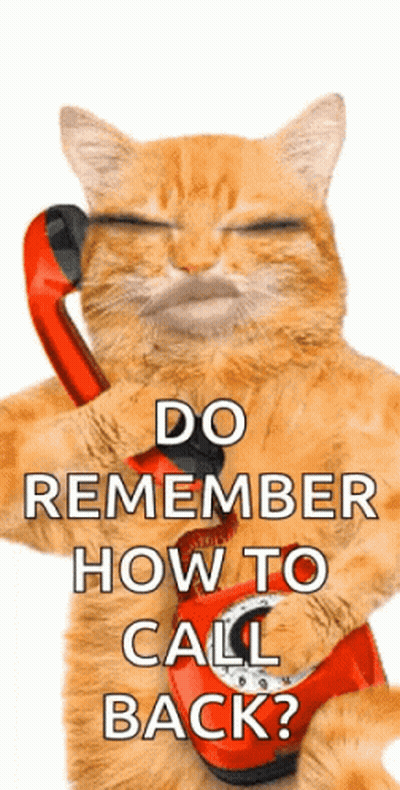 Cat Holding Red Telephone Do Remember Call Back GIF