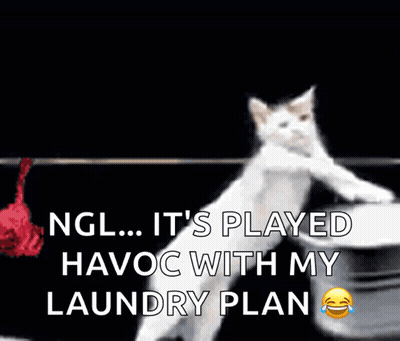Cat Holding Shirt Saying Ngl It's Played Havoc With My Laundry Plan GIF