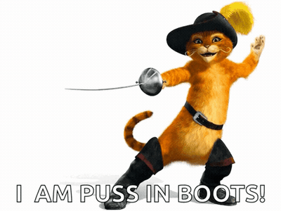 Cat Holding Sword Puss In Boots GIF