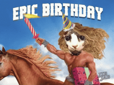 Cat Holding Sword Riding Horse Epic Birthday GIF