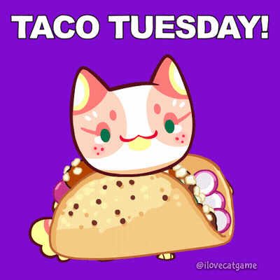 Cat Holding Taco Saying Taco Tuesday GIF