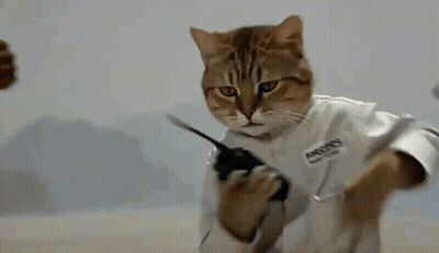 Cat Holding Walkie Talkie With Chris Name Tag GIF