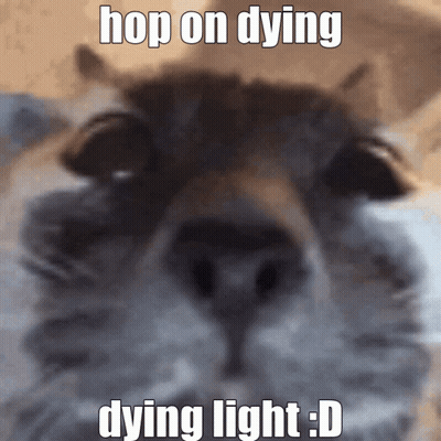 Cat Hop On Dying Dying Light D GIF