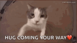 Cat Hug Coming Your Way Kiss GIF