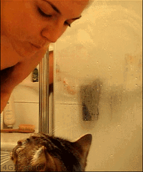Cat Hug Kiss Mom On Face GIF