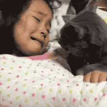 Cat Hug Please Don't Cry Kiss GIF
