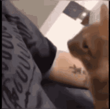 Cat Hug Want A Nap Cuddle  GIF