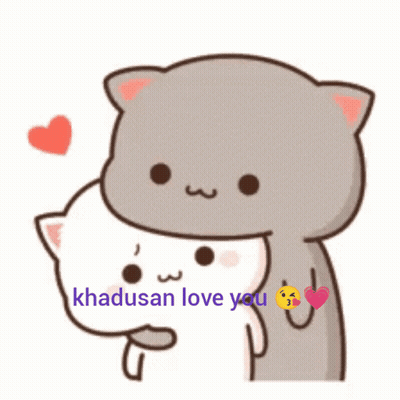 Cat Hugging Another Cat Khadosan Love You