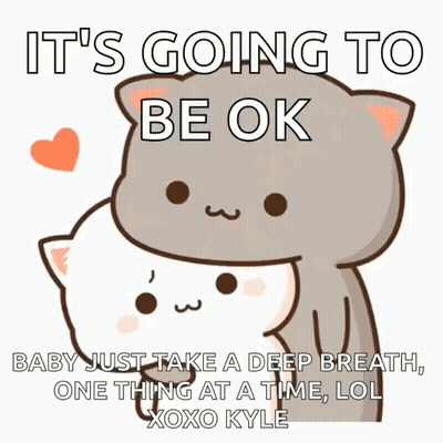 Cat Hugging Another Cat Saying It's Going To Be Ok GIF