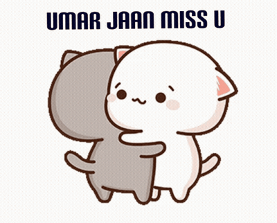 Cat Hugging Another Cat Umar Jaan Miss U GIF