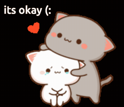 Cat Hugging Another Saying Its Okay GIF