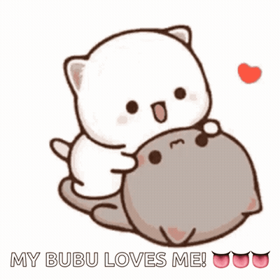 Cat Hugging Another With My Bubu Loves Me GIF