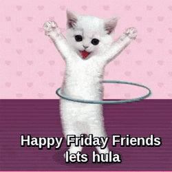 Cat Hula Hooping Happy Friday GIF