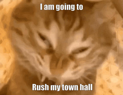 Cat I Am Going To Rush My Town Hall GIF