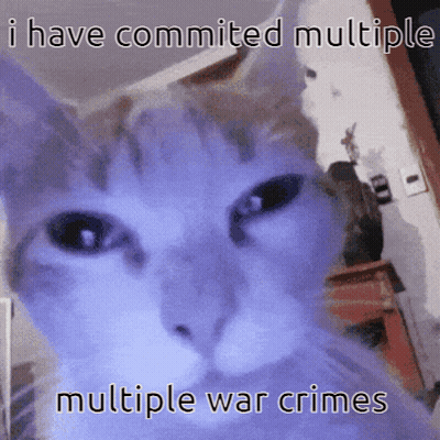 Cat I Have Committed Multiple Multiple War Crimes GIF
