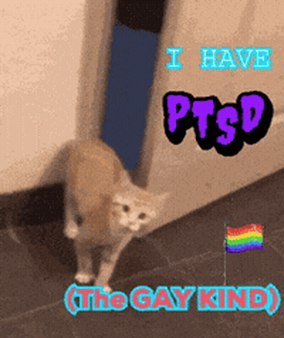 Cat I Have PTSD The Gay Kind GIF