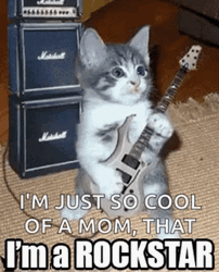 Cat I'm A Rock Star GIF