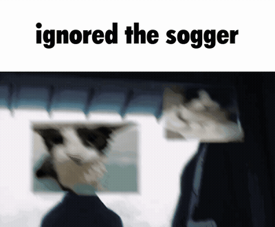 Cat Ignored The Sogger GIF