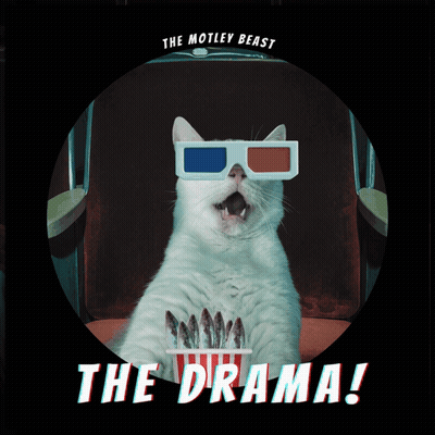 Cat In 3D Glasses Eating Popcorn Motley Beast GIF