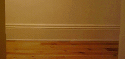 Cat In A Box On A Trolley Byeeee GIF
