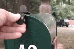 Cat In A Mail Box GIF