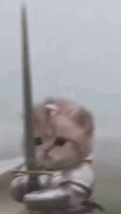 Cat In Armor Holding Sword GIF