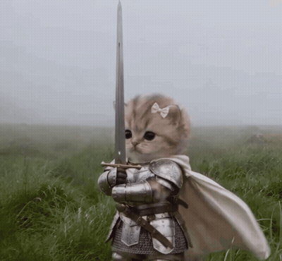 Cat In Armor Holding Sword GIF