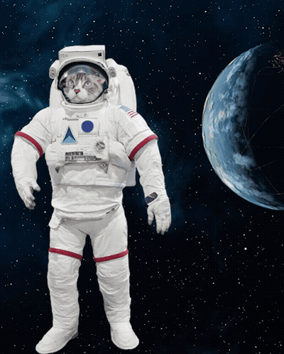 Cat In Astronaut Suit Facing Planet GIF