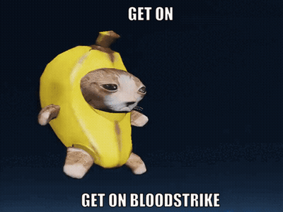 Cat In Banana Costume Get On Bloodstrike GIF