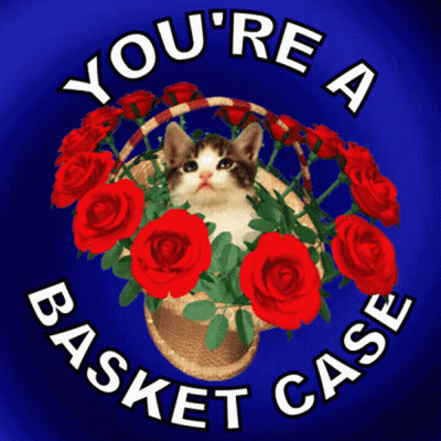 Cat In Basket Of Red Roses GIF