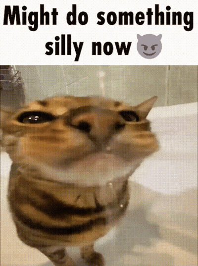 Cat In Bathtub Might Do Something Silly Now GIF