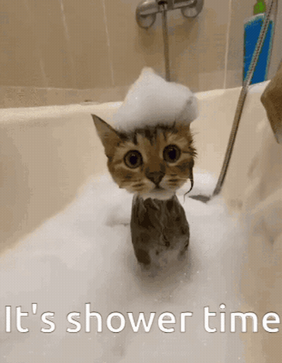 Cat In Bathtub With Foam Shower Time GIF