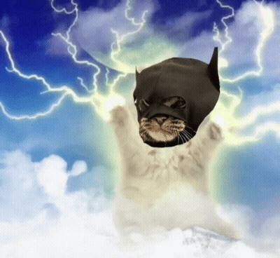 Cat In Batman Mask Flying GIF