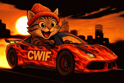 Cat In Beanie Driving Car CWIF GIF
