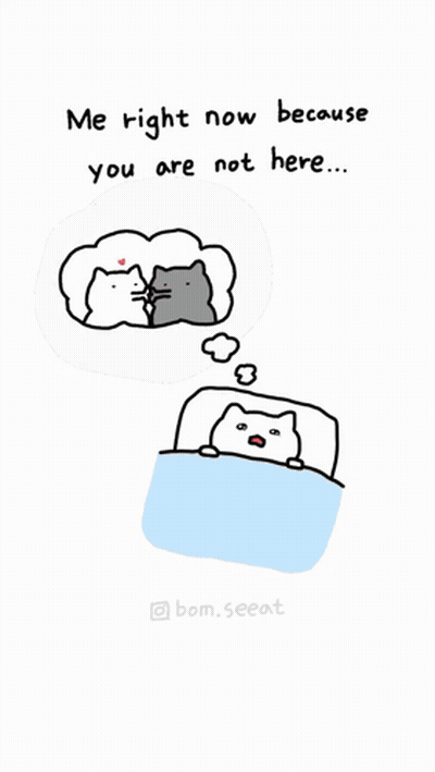 Cat In Bed Saying Me Right Now Because You Are Not Here GIF