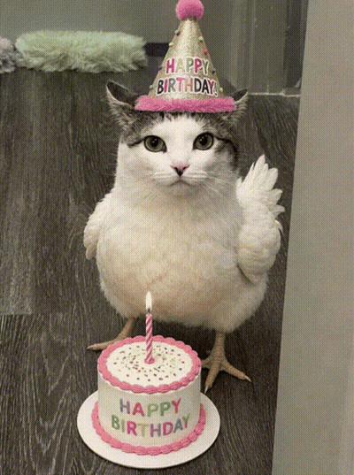 Cat In Birthday Hat Next To Cake GIF