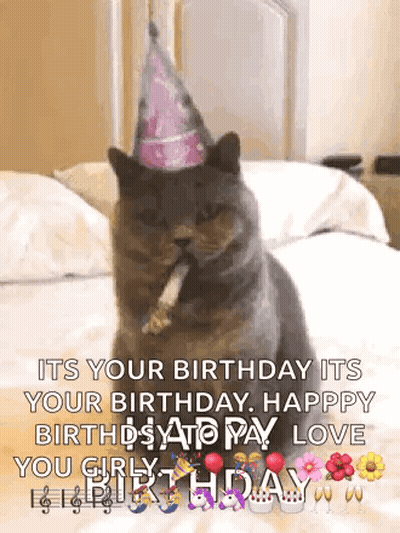 Cat In Birthday Hat Smoking Cigarette GIF