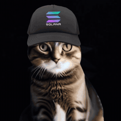Cat In Black Solana Hat Looking At Camera GIF