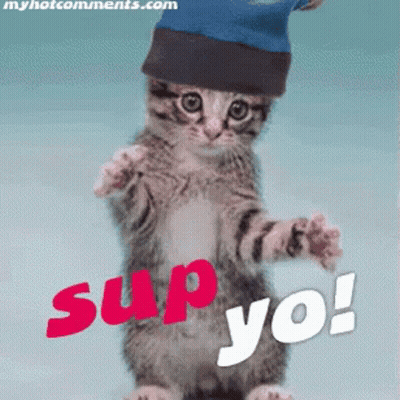 Cat In Blue Hat Saying Sup Yo GIF