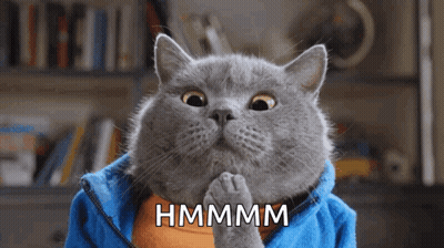 Cat In Blue Jacket Saying Hmmmm GIF