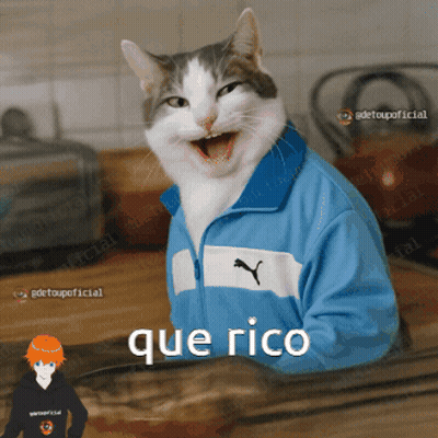 Cat In Blue Puma Jacket Que Rico GIF