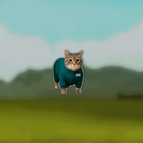 Cat In Blue Shirt Walking In Field GIF