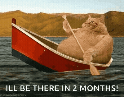 Cat In Boat Saying I'll Be There In 2 Months GIF