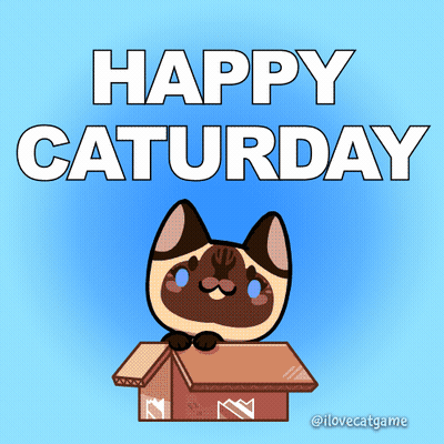 Cat In Box Saying Happy Saturday GIF