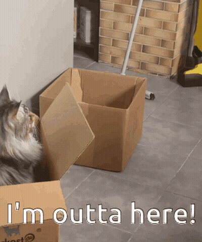 Cat In Box Saying I'm Outta Here GIF