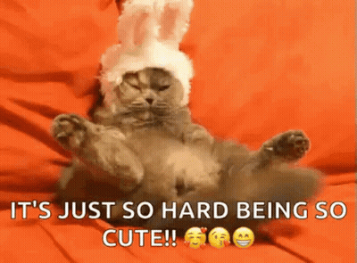 Cat In Bunny Hat Laying On Bed GIF