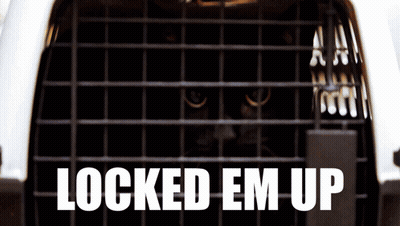 Cat In Cage Locked Em Up GIF