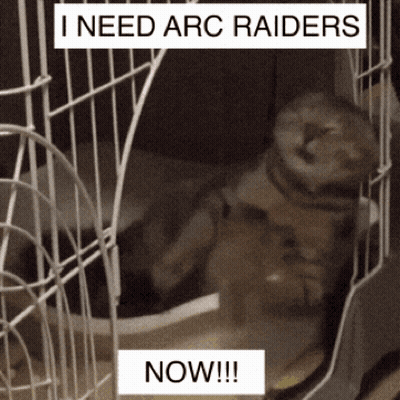 Cat In Cage Saying I Need Arc Raiders Now GIF