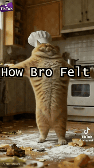 Cat In Chef Hat In Kitchen GIF
